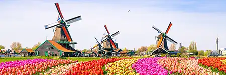 Day tours from Amsterdam Day tours from Amsterdam